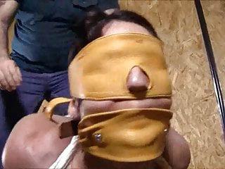 Taylor Sinn als Bondage Stute mit Nippelkemmen