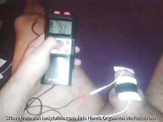 No - no gefesselt und gemolken